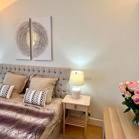 Apartment Luxurious 2 Bedrooms With Amenities In Center